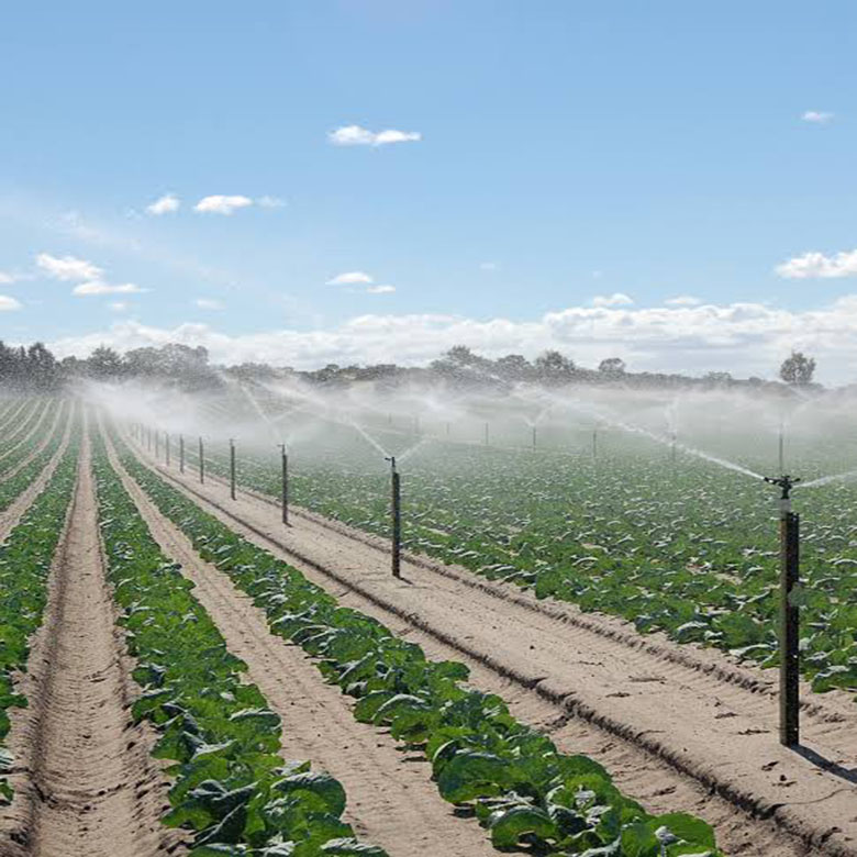 IRRIGATION AND AGRICULTURE